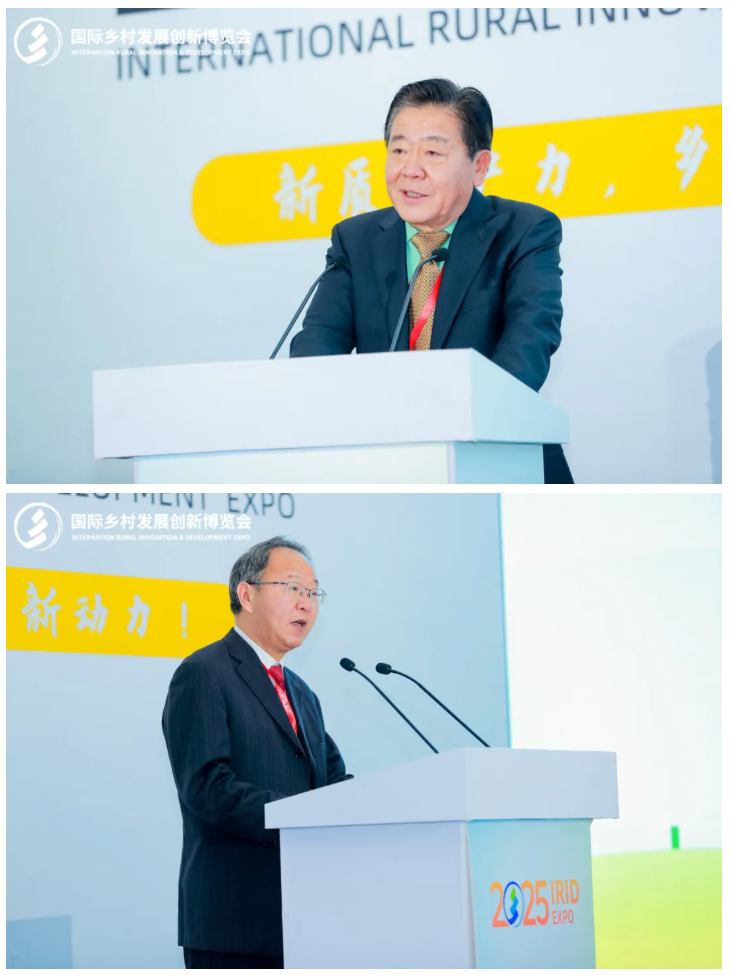新质生产力，乡村振兴新动力——2025国际乡村发展创新博览会盛大启幕