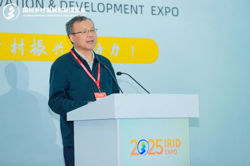 2025国际乡村发展创新博览会圆满落幕！新质生产力赋能乡村振兴，共绘未来乡村新图景！