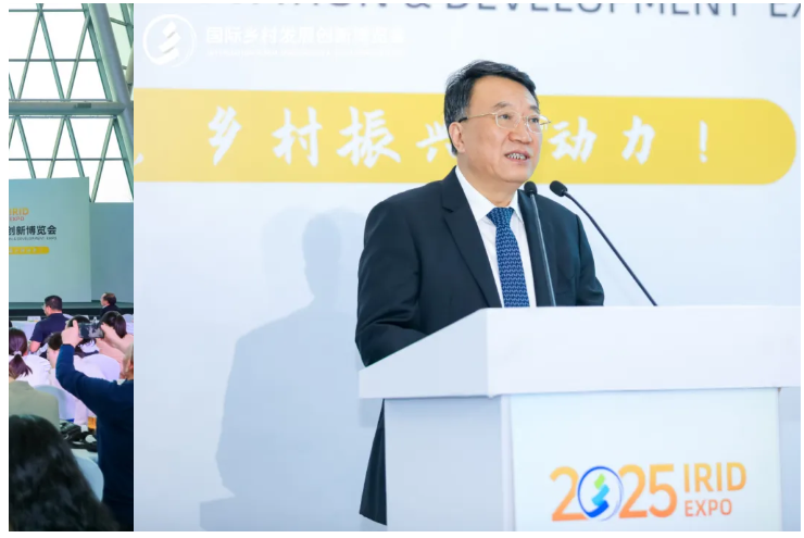 2025国际乡村发展创新博览会圆满落幕！新质生产力赋能乡村振兴，共绘未来乡村新图景！