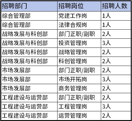 中国资源循环集团新能源科技有限公司面向社会公开招聘公告