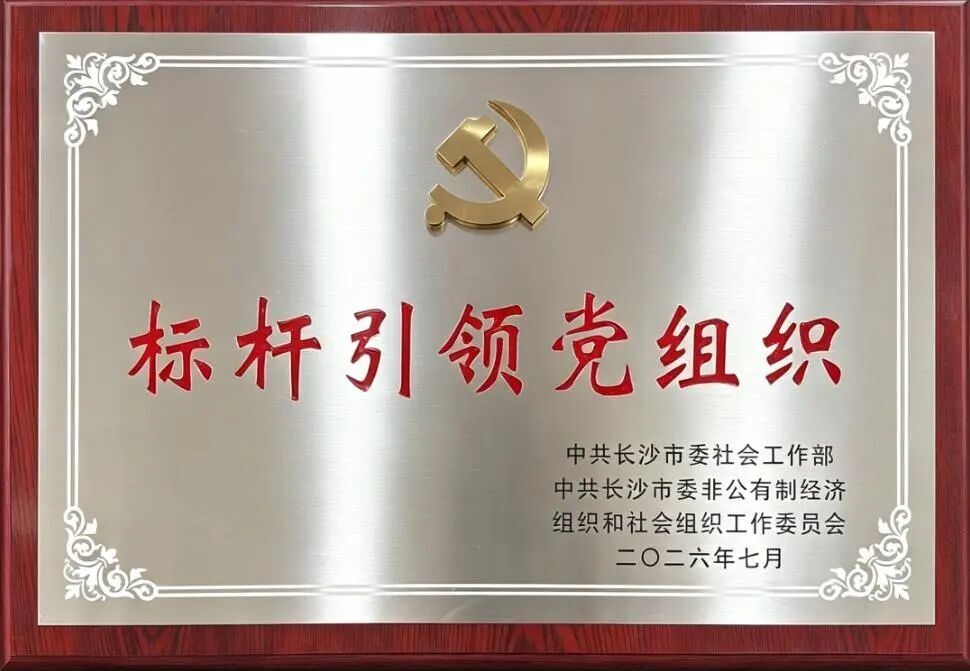 盈峰环境荣获“长沙市两新领域标杆引领党组织”称号