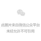 上海市政工程检测中心：全周期全链条运维管护，专业服务赋能城市安全