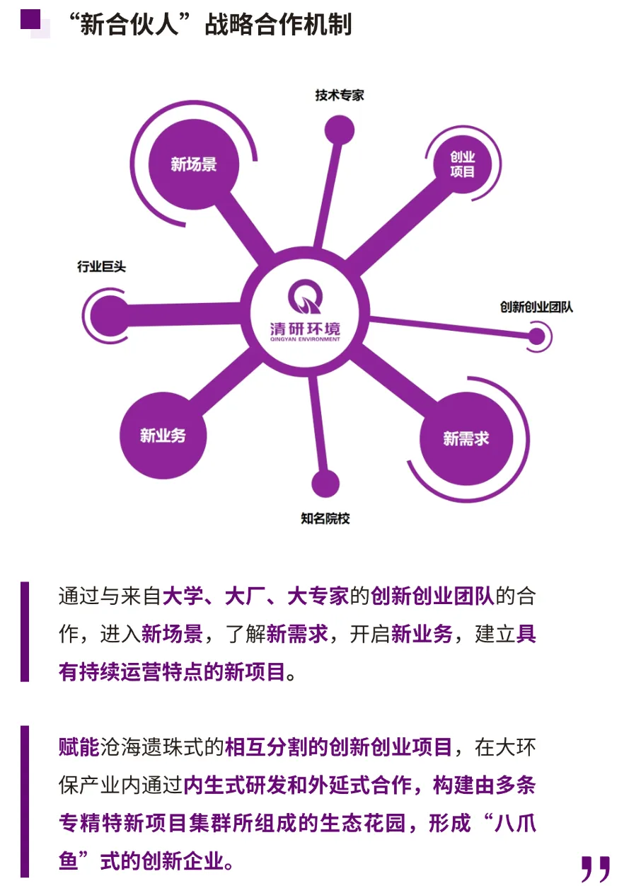 问渠清言丨一源多流,双核驱动,清研环境的战略生长之道