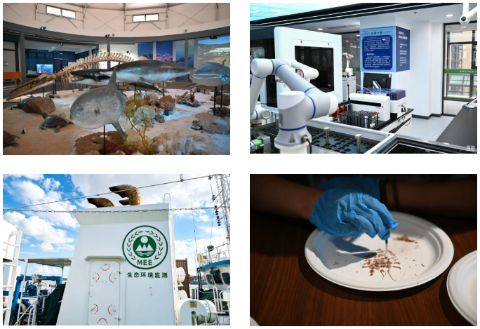 共探蓝色守护新路径，浙东海洋生物多样性保护联盟主题活动在舟山举行